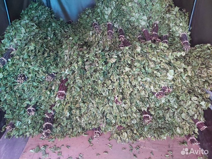 Березовые веники