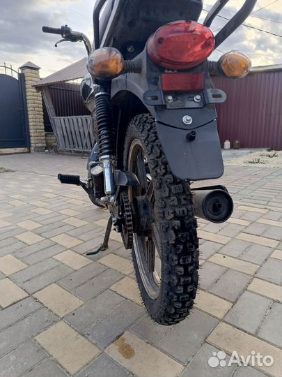 Alpha racer gs50 (125)