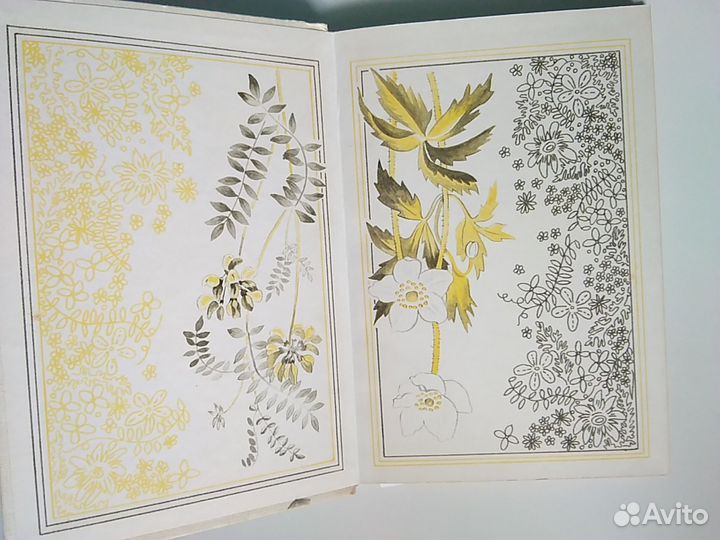 В В Петров Растительный мир нашей Родины