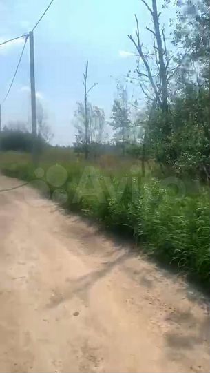 Участок 20 сот. (ИЖС)