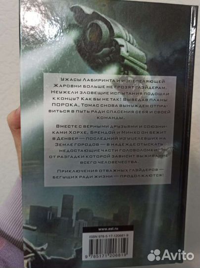 Джеймс Дэшнер Бегущий в лабиринте