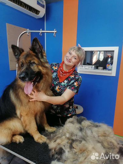 Груминг- стрижки собак всех пород и кошек