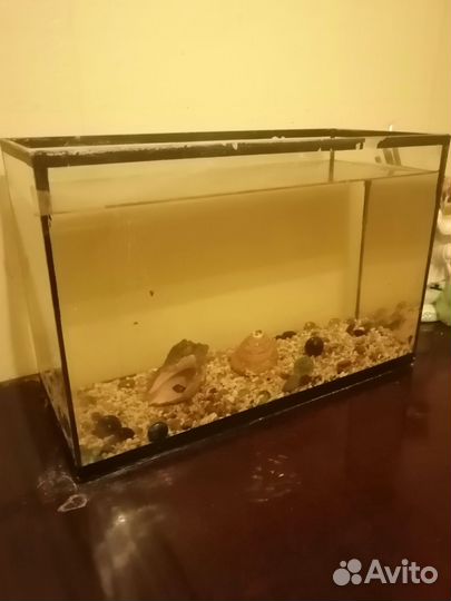 Аквариум