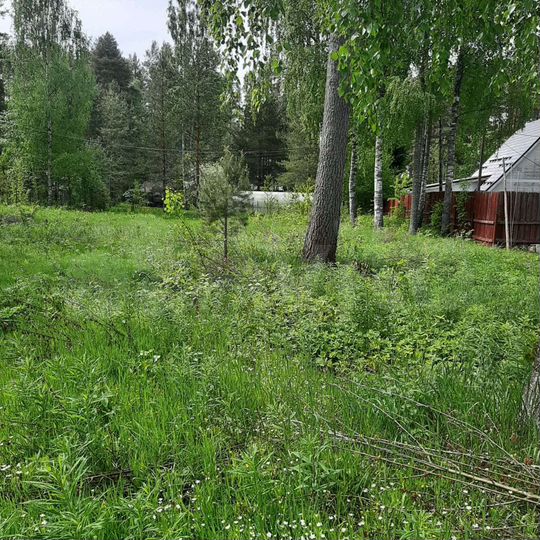 Участок 16,5 сот. (ИЖС)