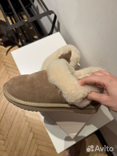 Thomas munz угги