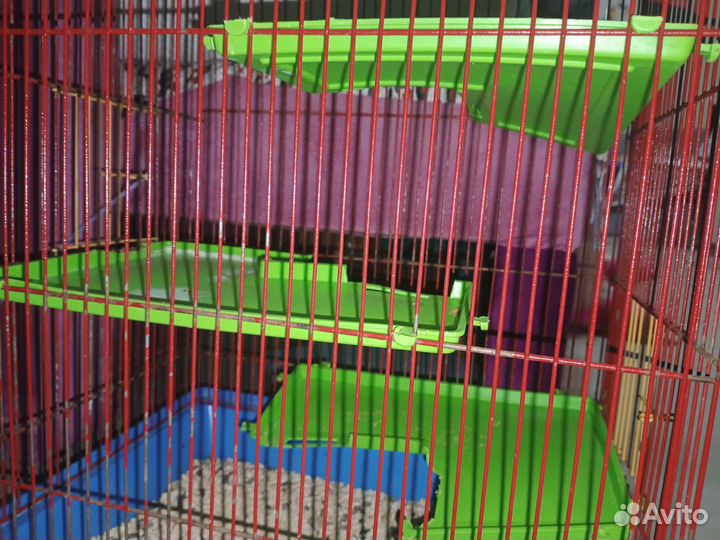 Клетка для грызунов
