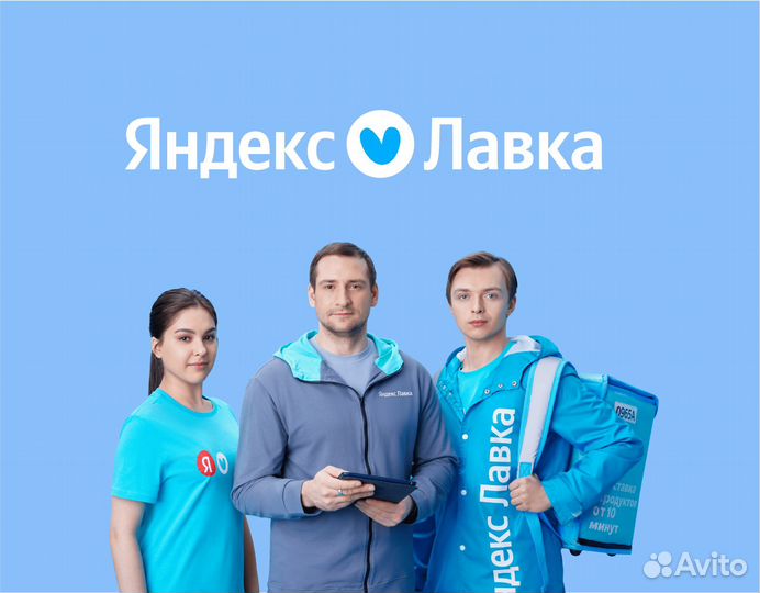 Координатор даркстора Яндекс Лавка