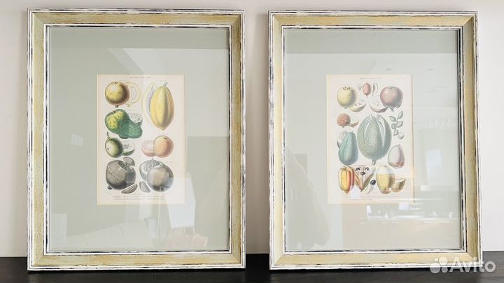 Антикварная ботаническая иллюстрация в раме 4шт