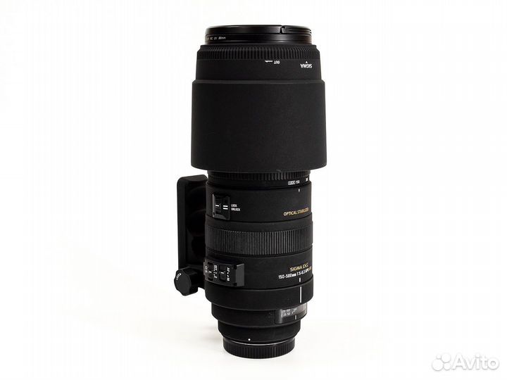 Sigma 150-500 Canon