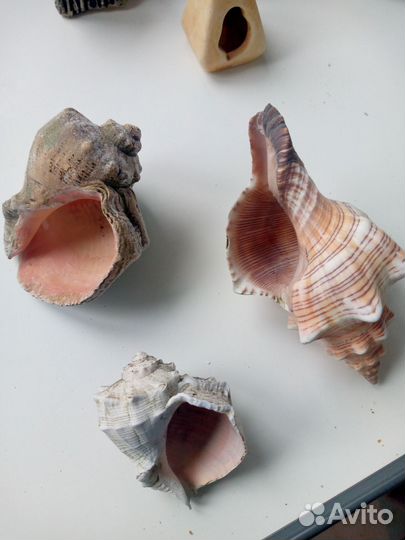 Аквариум 60л, грунд, декор