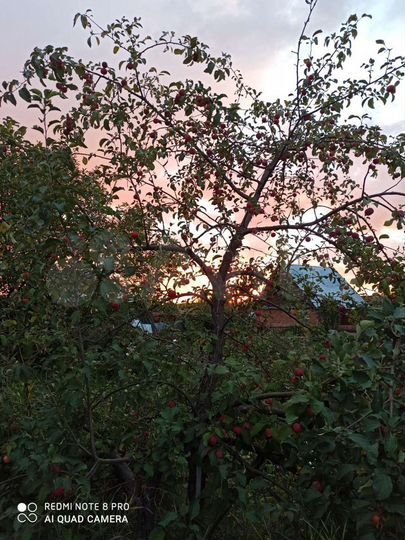 Участок 10 сот. (СНТ, ДНП)