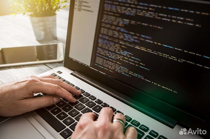 Обучение web-программированию, frontEnd
