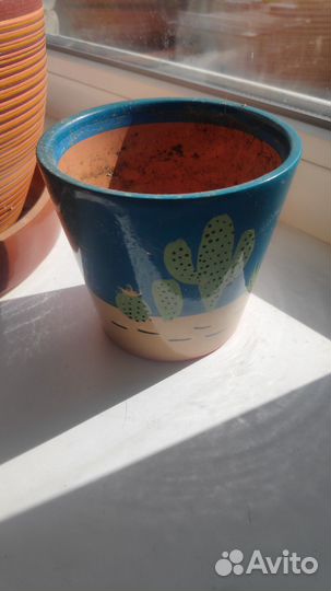 Горшки керамика и пластик