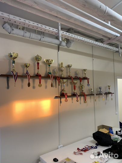 Секция самбо