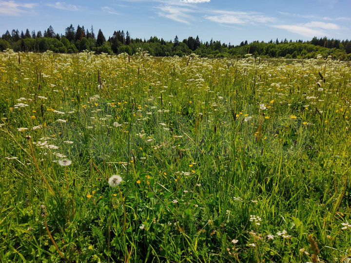 Участок 8,4 сот. (ИЖС)