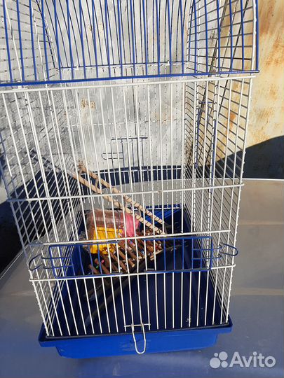 Клетка для птиц или каких то мелких животных