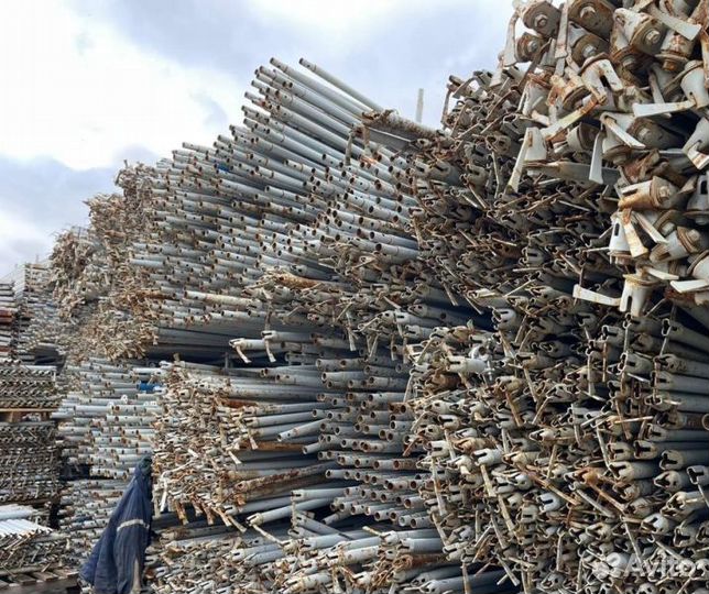 Клиновые леса