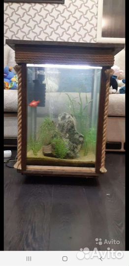 Аквариум