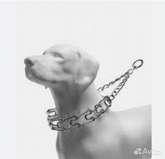 Строгий ошейник для собак