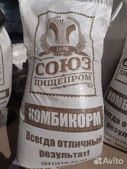 Куры-молодки кросса Браун Ник