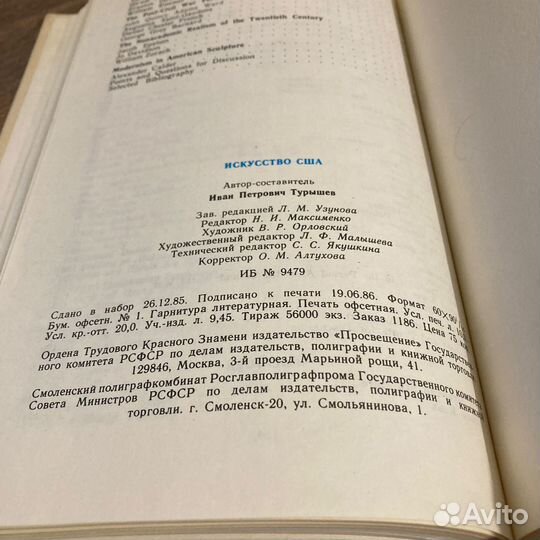 Искусство США. Живопись, скульптура. Турышев. 1986