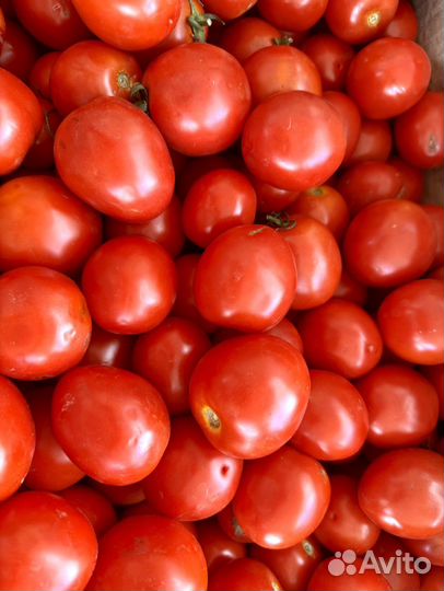 Помидоры оптом