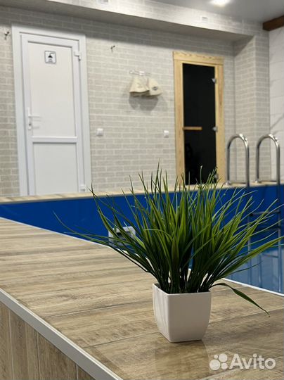 Сауна с бассейном