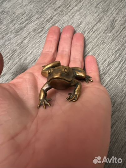 Бронзовая лягушка