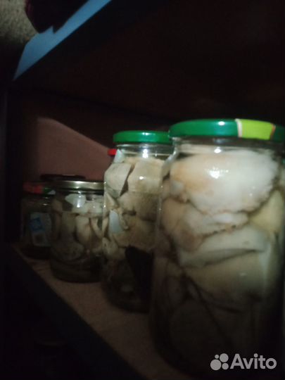 Продаю грибочки