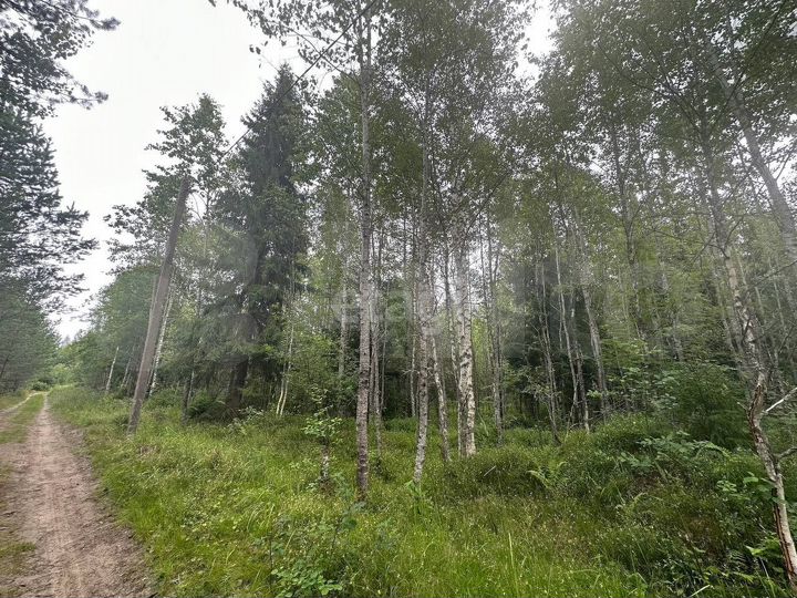 Участок 17 сот. (СНТ, ДНП)