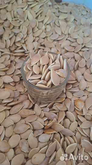 Семена тыквы