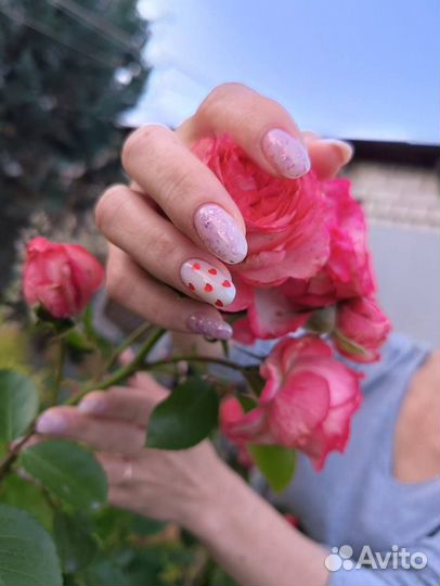 Предложение услуг