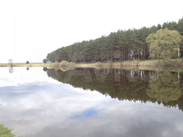 Участок 10 сот. (СНТ, ДНП)