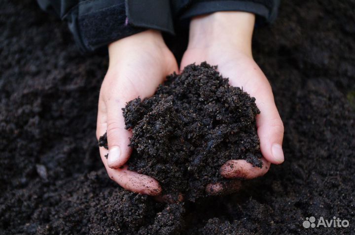 Земля плодородная