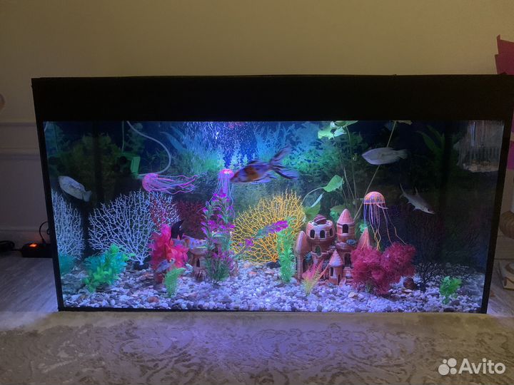 Аквариум