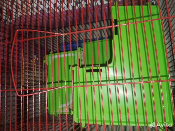 Клетка для грызунов