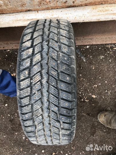 Roadstone Winguard 231 205/55 R16