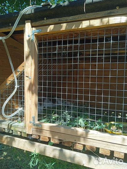 Клетка, крольчиха с крольчатами