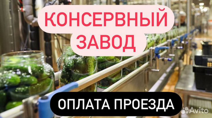 Разнорабочие вахтой. Оплатим дорогу