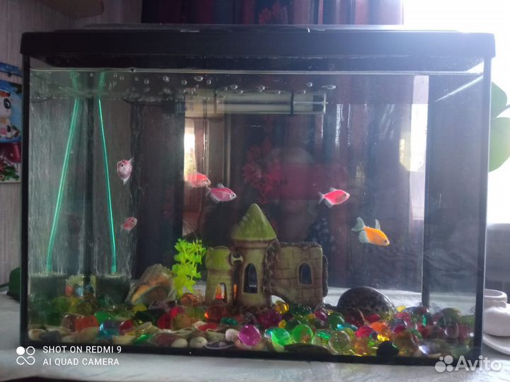 Аквариум