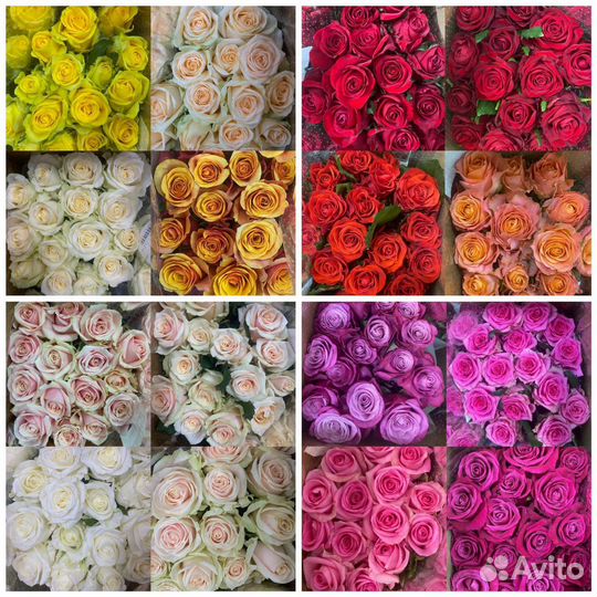 Букет из Российской розы