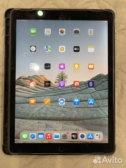 iPad pro 12,9 wifi