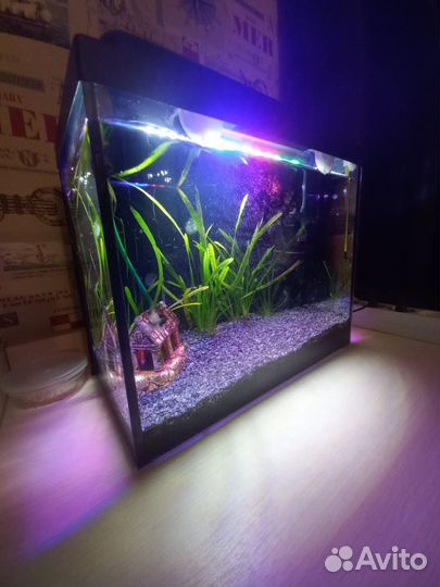 Аквариум