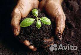 Доставка чернозема