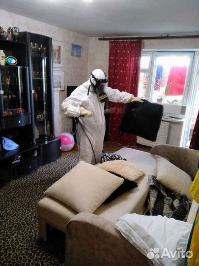 Уничтожение : тараканов, клопов, муравьев. Короеда