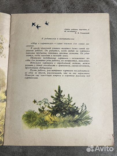 Книжка-картинка Когда это бывает