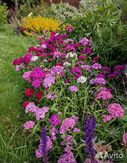 Садовник Консультации по саду. Обучение