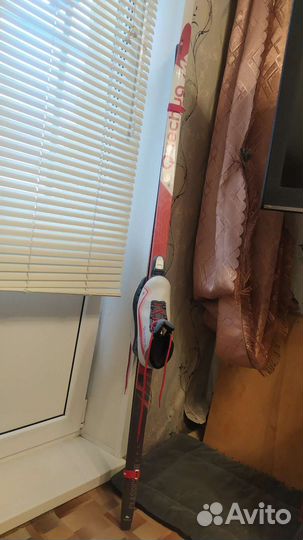 Беговые лыжи