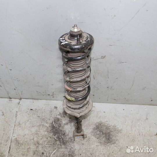 Амортизатор задний honda Accord viii 2008-2013