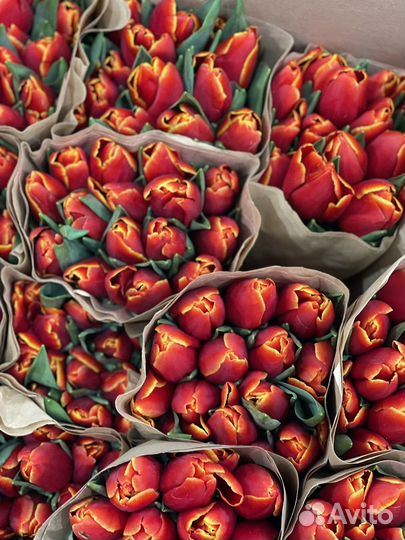 Тюльпаны, букет тюльпанов